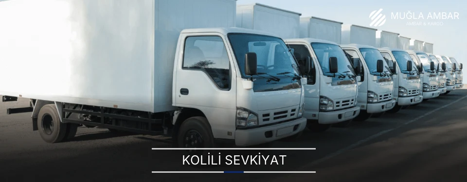 Muğla Kolili Sevkiyat Ambar Firmaları