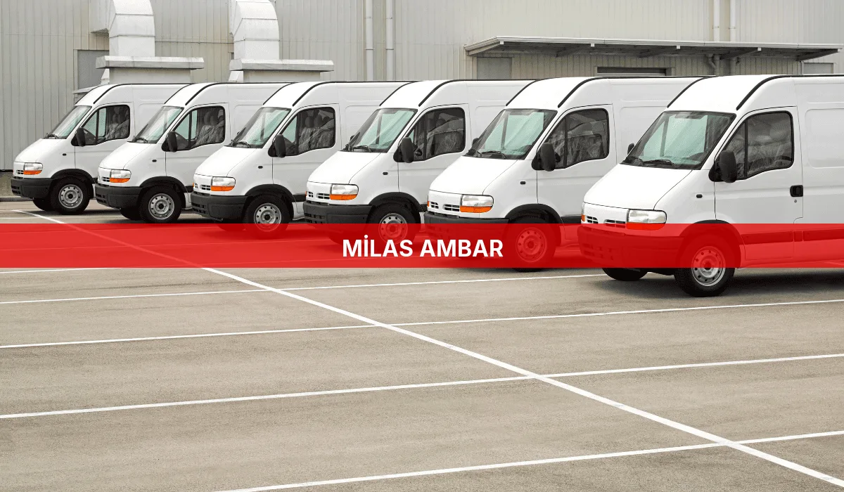 Milas Ambar