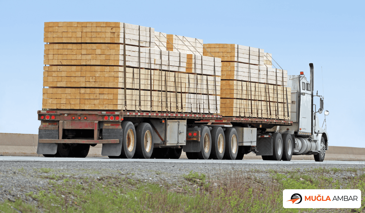 Ağır Yük Taşıma